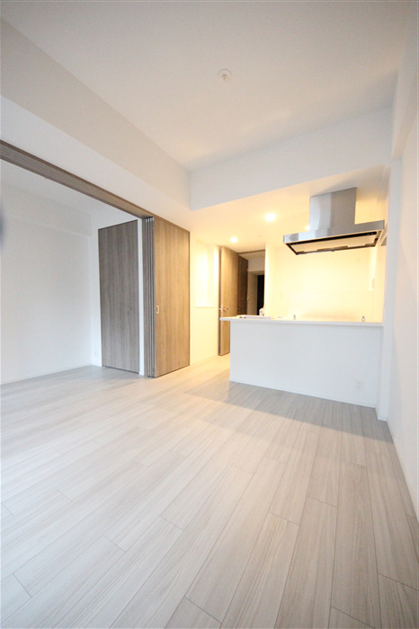 S-RESIDENCE堺筋本町Deuxの居間写真