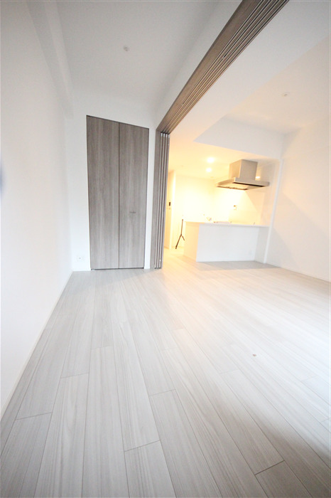 S-RESIDENCE堺筋本町Deuxの居間写真