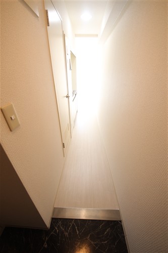 アイディール中之島の玄関写真