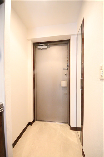 エイペックス京町堀IIの玄関写真