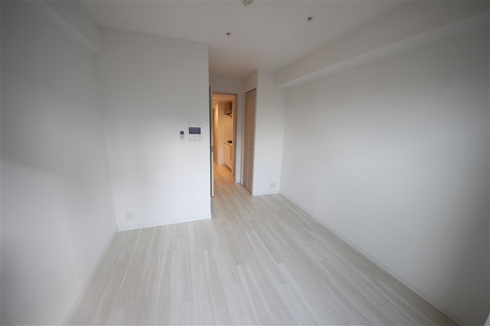 S-RESIDENCE南堀江の内装写真