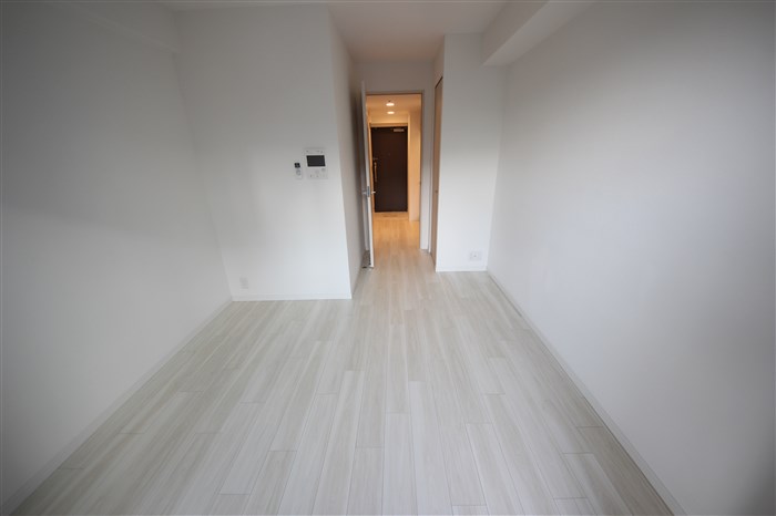 S-RESIDENCE南堀江の内装写真