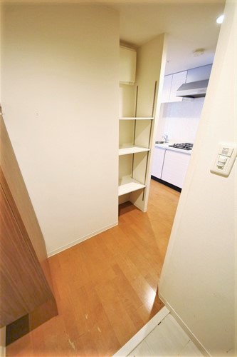 レジュールアッシュ梅田AXIAの玄関写真