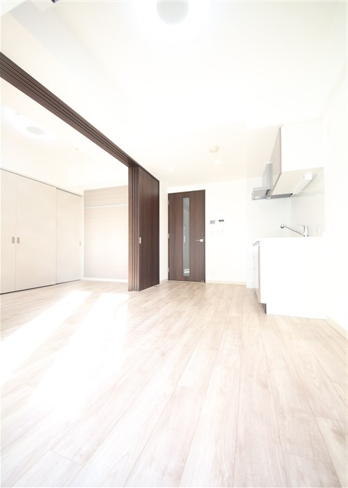エステムコート大阪福島IIレイヤーの居間写真