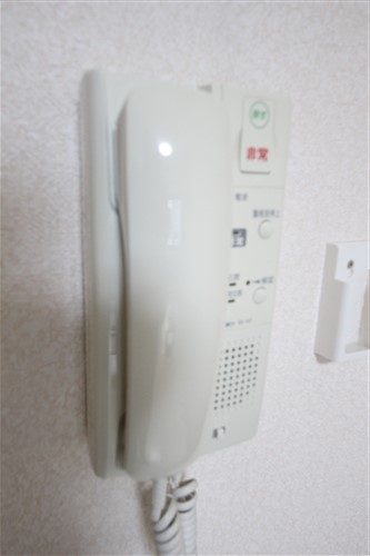 サザン長柄のその他写真