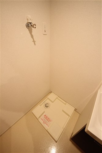ノーサイド立葉のその他写真