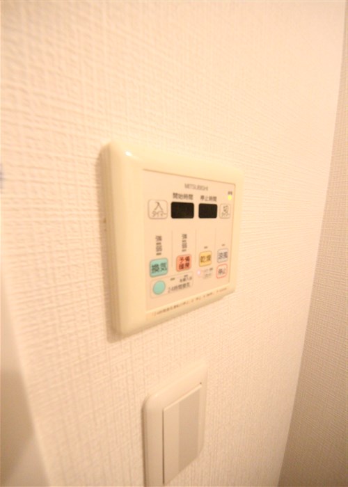 フリージアのその他写真