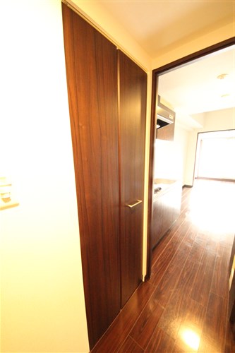 S-RESIDENCE淀屋橋の内装写真