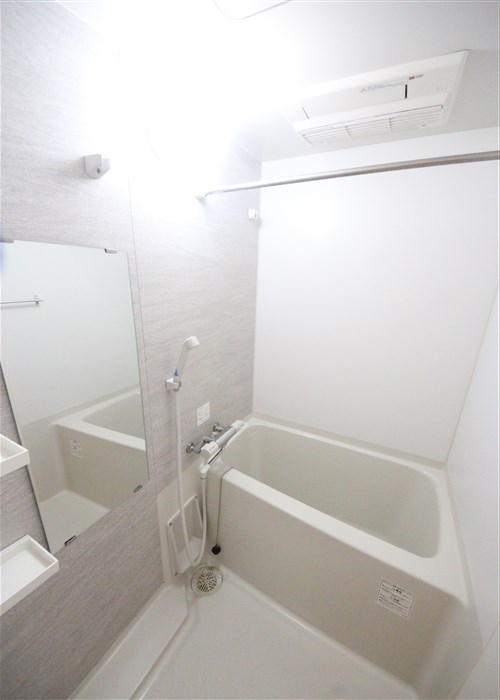 SーRESIDENCE難波BRILLERの風呂写真