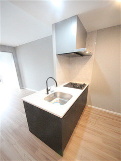 SーRESIDENCE大阪上本町のキッチン写真
