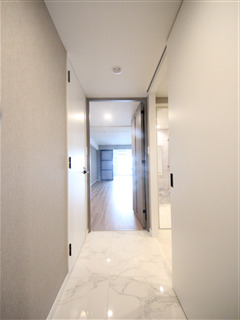 SーRESIDENCE大阪上本町の内装写真