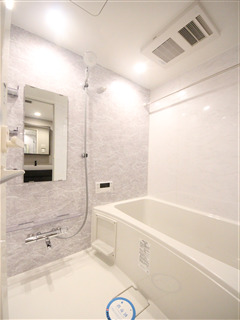 SーRESIDENCE大阪上本町の風呂写真