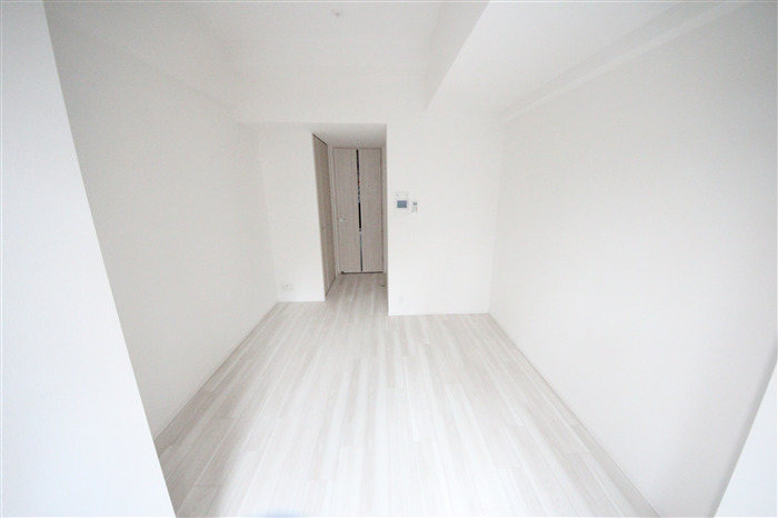 S-RESIDENCE堺筋本町Deuxの居間写真