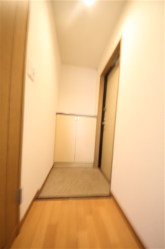 エイペックス松屋町ヴァンデュールの玄関写真