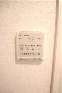 セレニテ阿波座ミラクのその他写真
