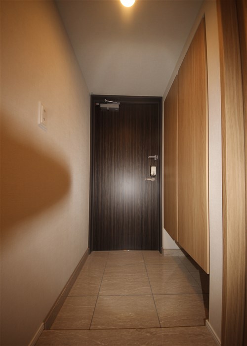 RJRプレシア南堀江の玄関写真