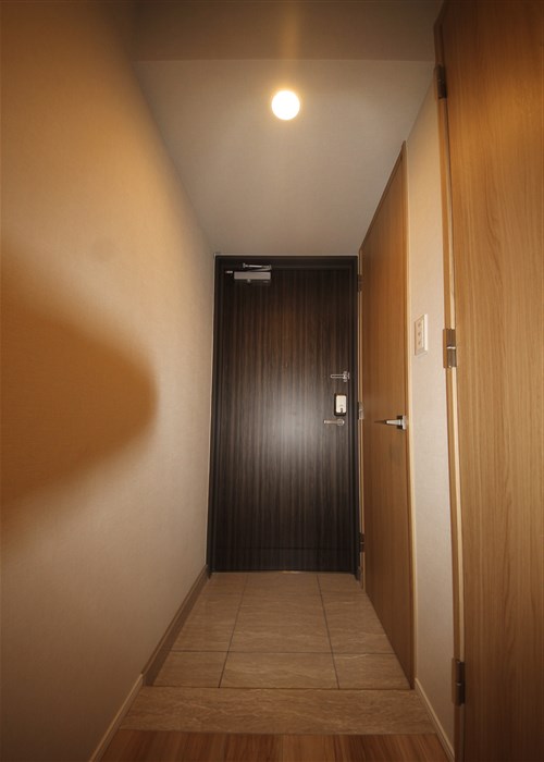RJRプレシア南堀江の玄関写真