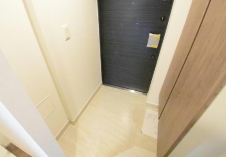 ルネフラッツ谷町四丁目の玄関写真