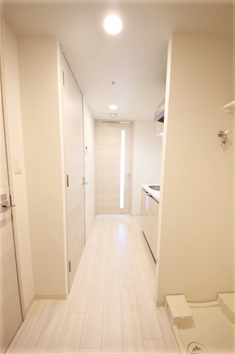 プレサンス心斎橋レヨンの玄関写真