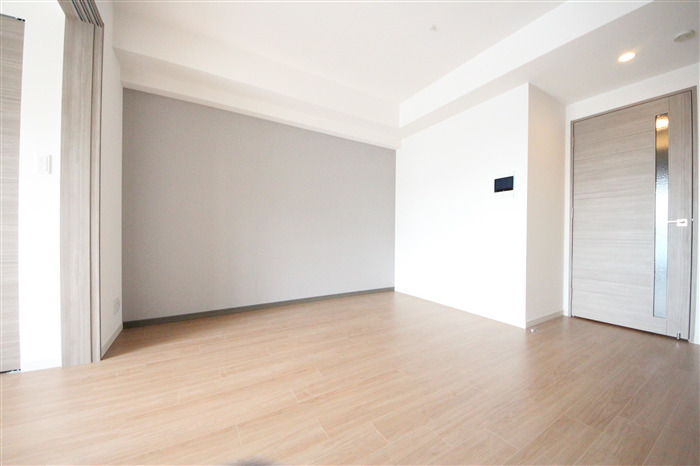 スプランディッド難波SOUTHの居間写真