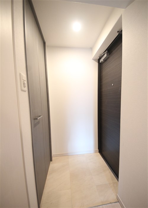 S-RESIDENCE谷町五丁目の玄関写真