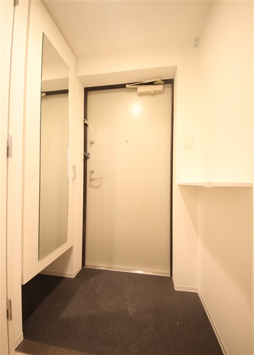 セレニテ堺筋本町リアンの玄関写真