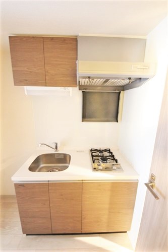 プレサンス松屋町駅前デュオのキッチン写真