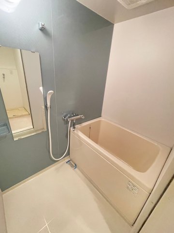 S-RESIDENCE難波Vialeの風呂写真
