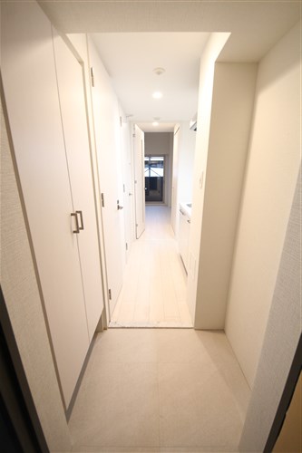 エスリード難波ザ・アークの玄関写真