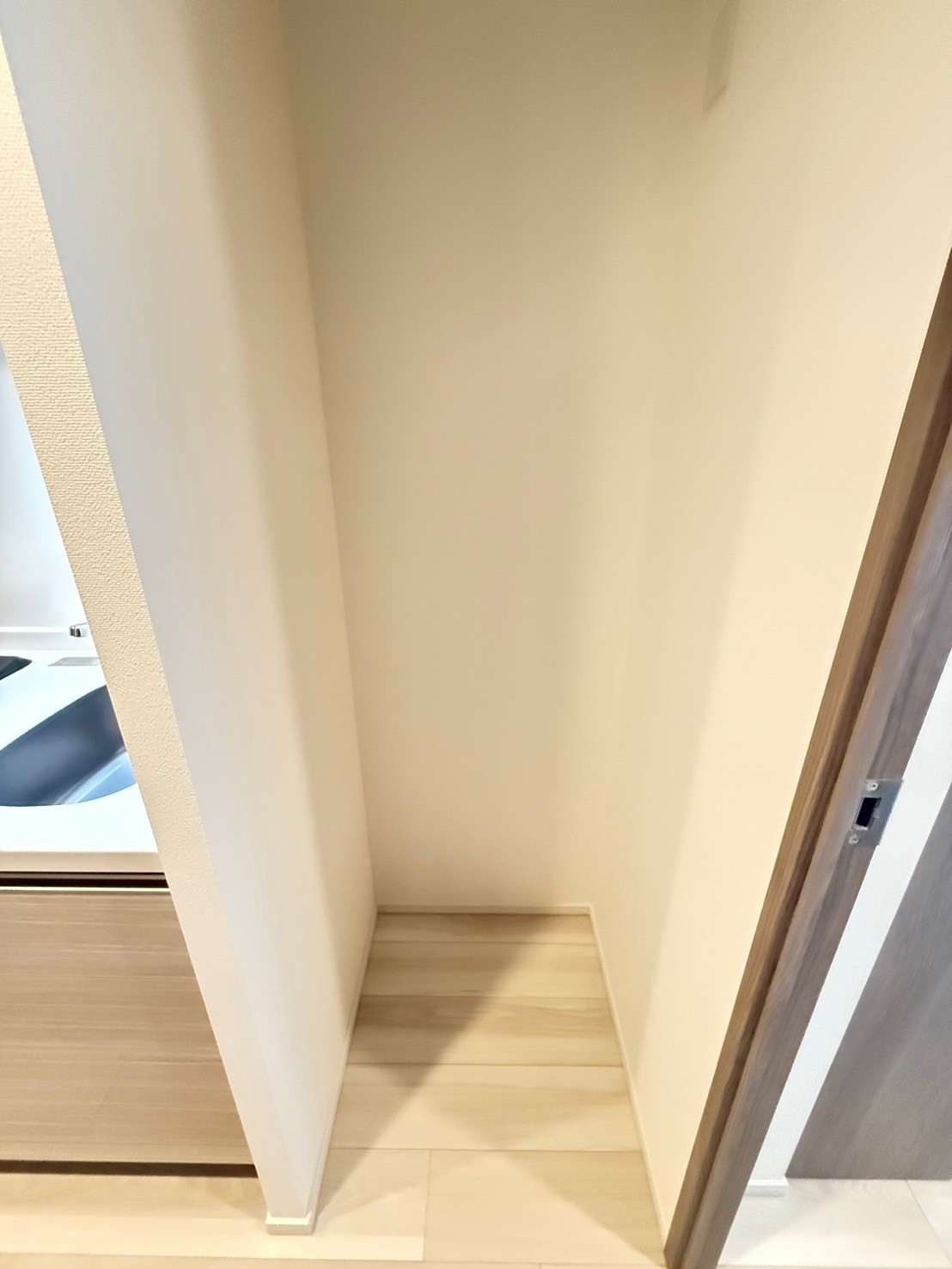 SーRESIDENCE難波大国町dominaのその他写真