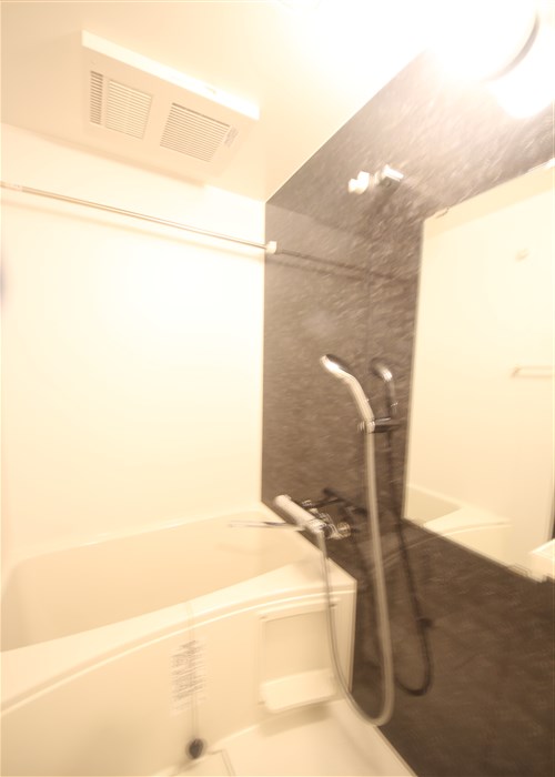 S-RESIDENCE福島玉川tresの風呂写真