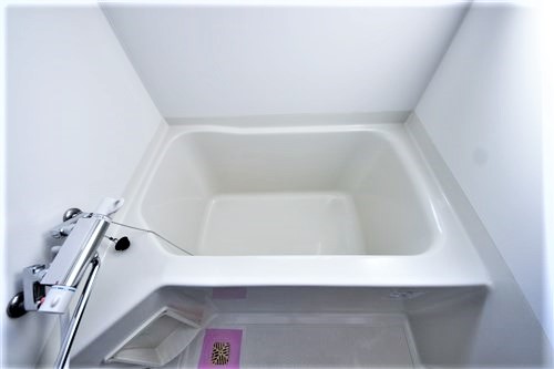 セレニテ日本橋ESTのその他写真