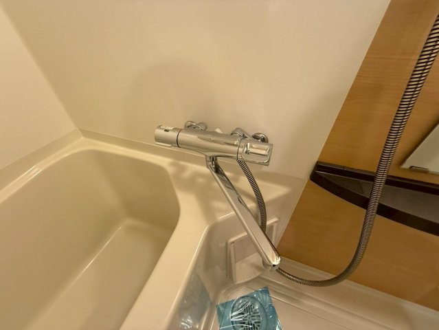 セレニテ本町グランデの風呂写真