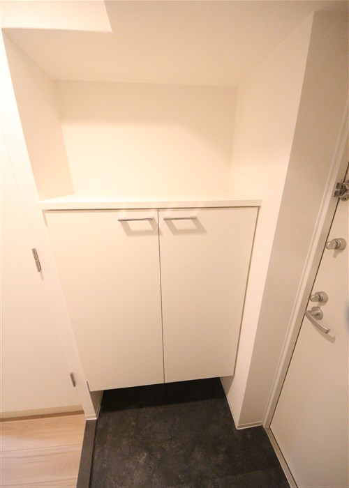 セレニテ本町東リアンの玄関写真