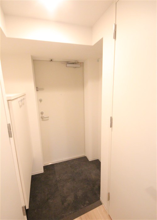 セレニテ本町東リアンの玄関写真