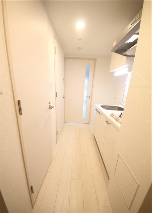 エスリードレジデンス大阪本町の内装写真