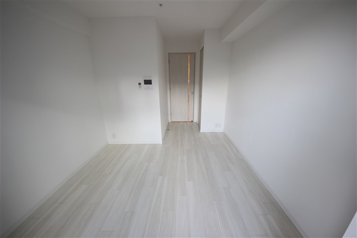 S-RESIDENCE南堀江の内装写真