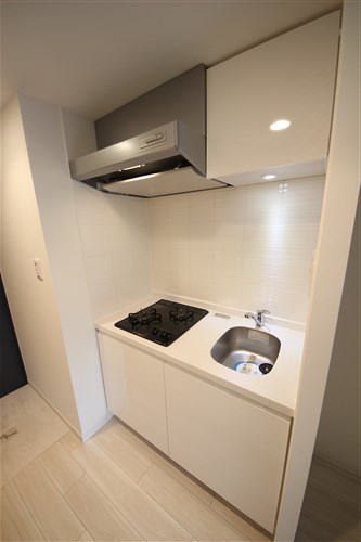 S-RESIDENCE南堀江のキッチン写真