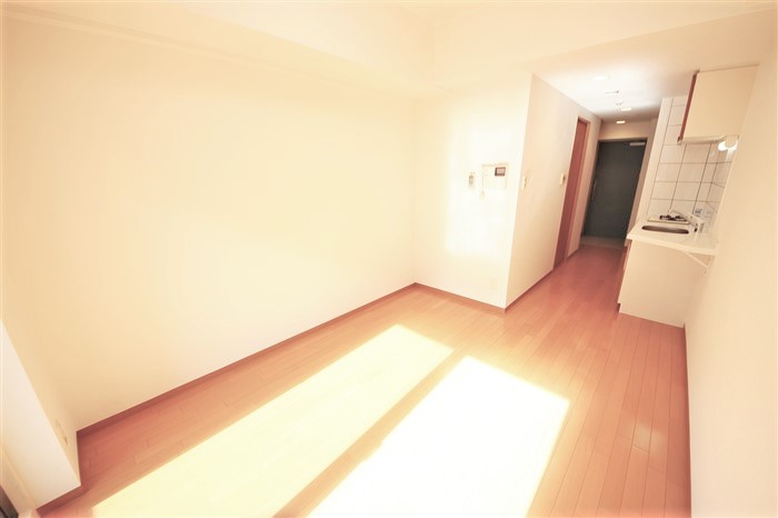エスリード御堂筋梅田の居間写真