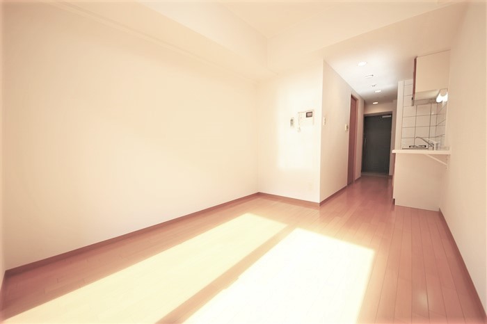 エスリード御堂筋梅田の居間写真