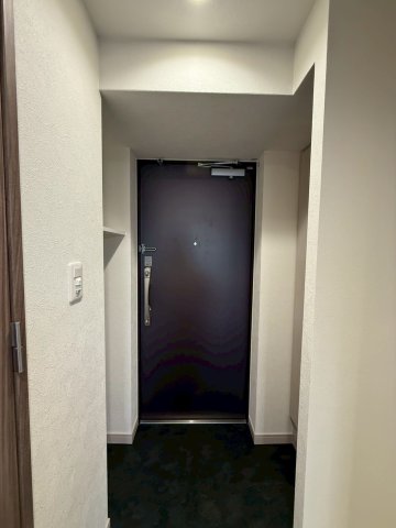プレサンス朝潮橋ベイ・ブリーズの玄関写真