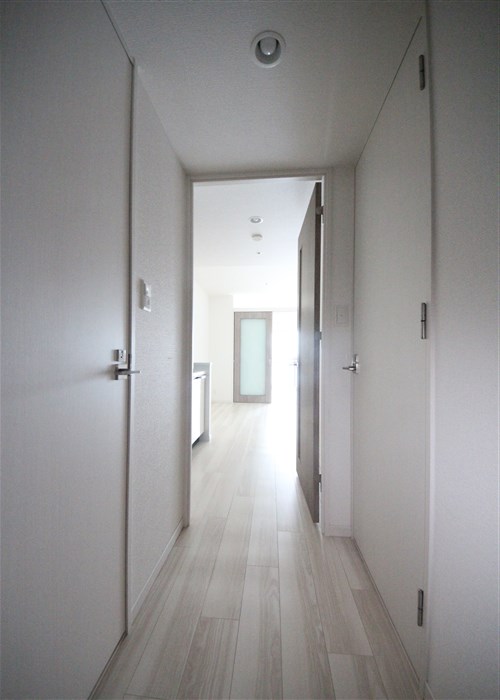 RISING Maison本町橋の玄関写真