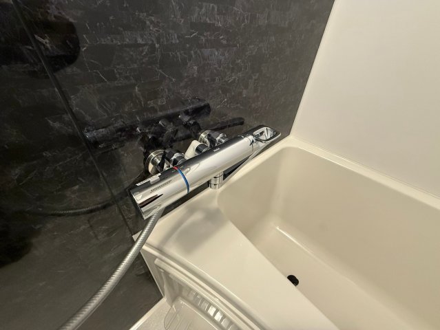S-RESIDENCE難波大国町dominaの風呂写真