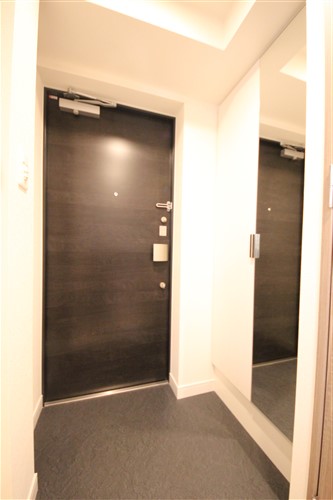 プレサンスOSAKA DOMECITYスクエアの玄関写真