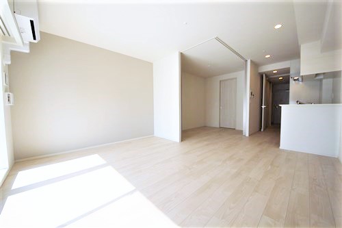 OPUS RESIDENCE SHINSAIBASHI SOUTHの内装写真