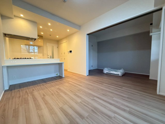 スプランディッド弁天町DUEの居間写真
