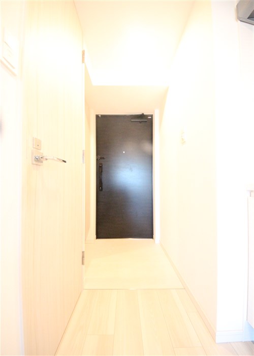 S-RESIDENCE福島Alovitaの玄関写真