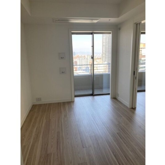グラングリーン大阪THE NORTH RESIDENCEの居間写真