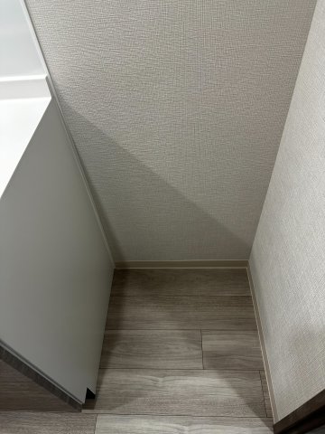 Alivisドーム前のその他写真
