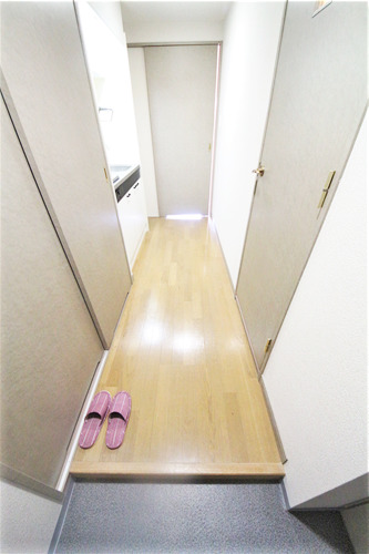レジデンスナンワの玄関写真
